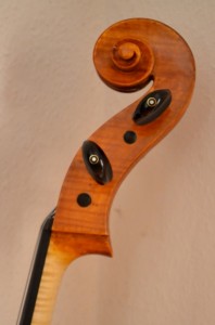 CelloSchnecke